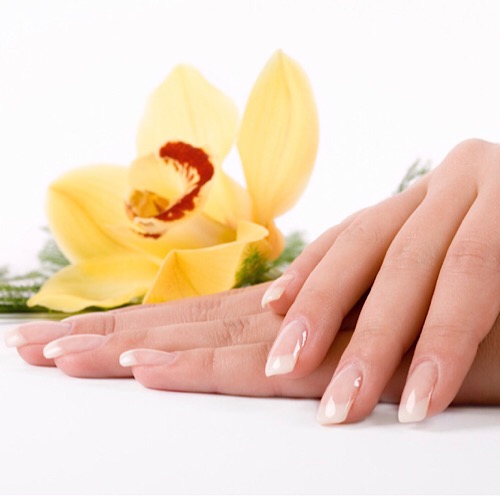BURLINGTON NAILS - Nails Enhancements